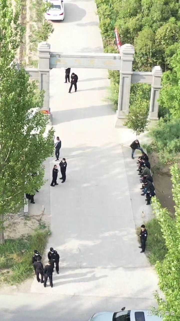 原阳惨案最新动态，深度分析与个人观点揭秘