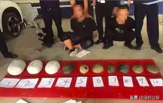 环卫服务 第419页