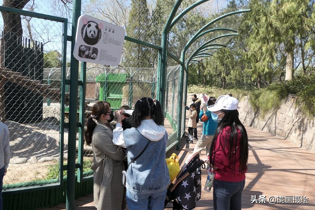北京肺炎最新疫情，多方观点分析与个人立场阐述