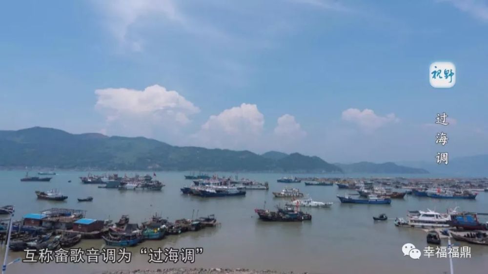 福鼎最新歌曲，时代旋律的璀璨绽放