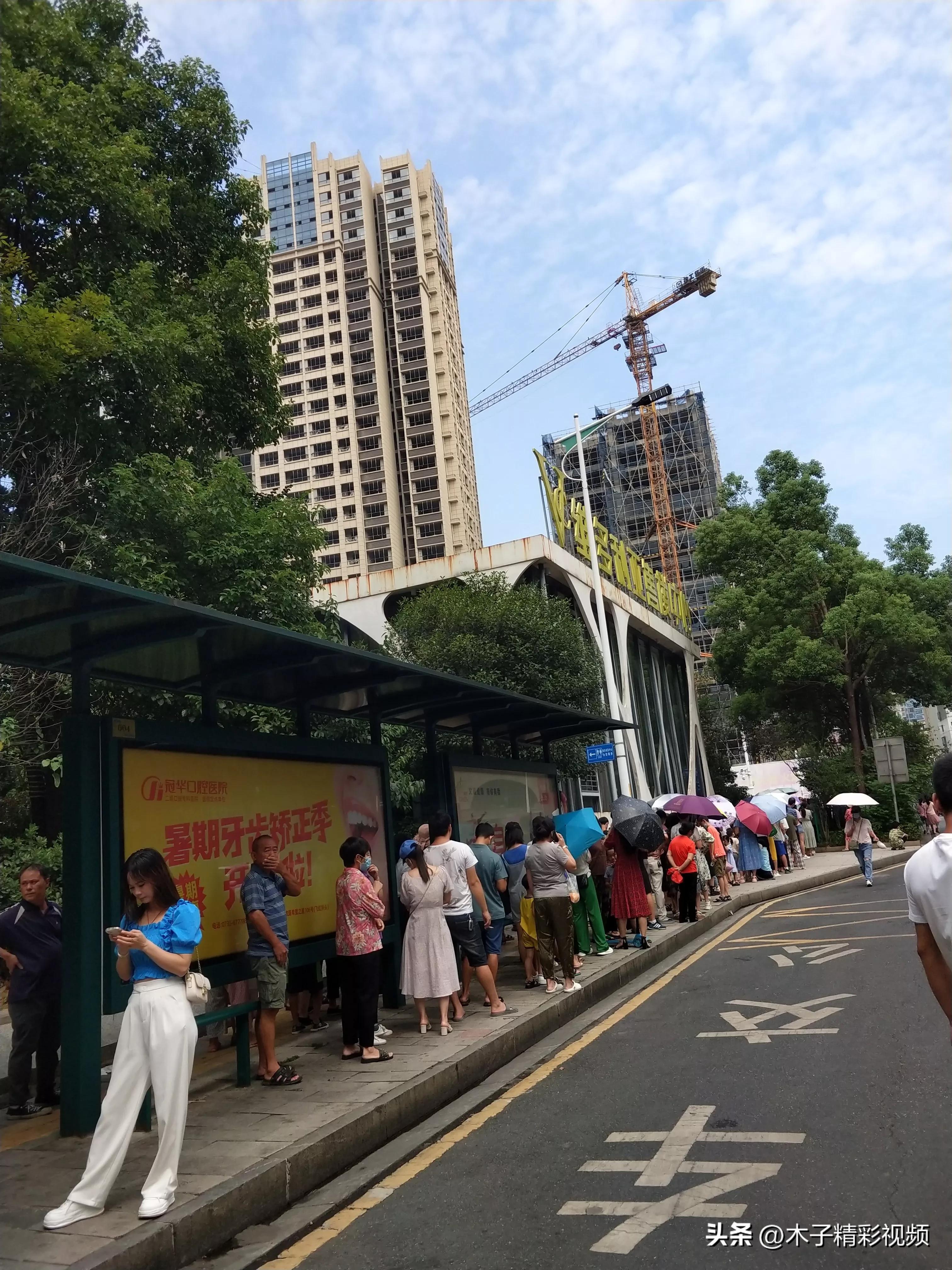 城市疫情最新动态及观点论述