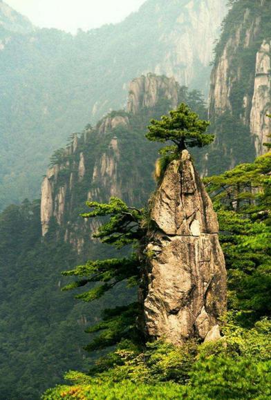黄山最新云海，科技与自然融合，云端新纪元开启