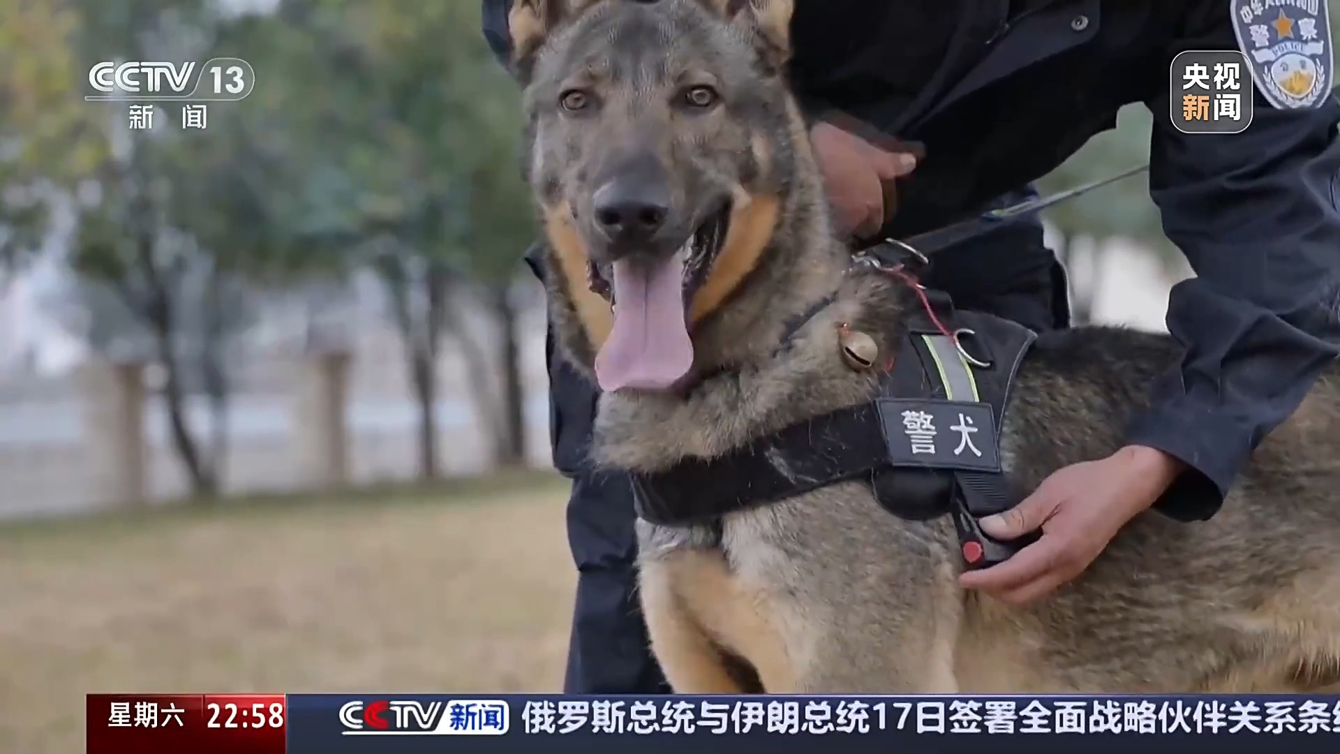 环卫服务 第7页