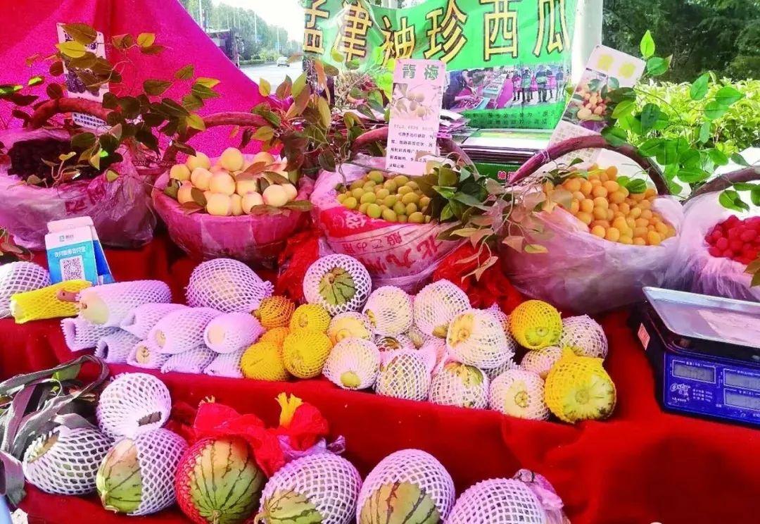 洛阳地图最新高清版，探索之旅与自我成长的启示地图指南